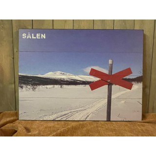 Sälen scooterled, str 43x58