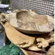 Rotbolle Ø40