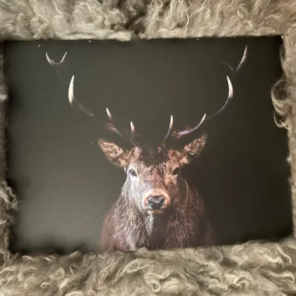 Hjort, trykk på sponplate