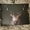 Hjort, trykk på sponplate