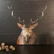 B-VARE Hjort treskilt 43x58