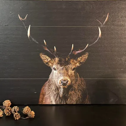 B-VARE Hjort treskilt 43x58