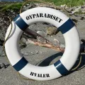 Livbøye Skagerak, Blå