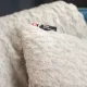 TEDDY
