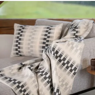 Design 3855