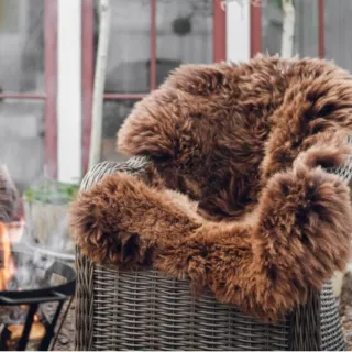 Gently langhåret skinn 50mm